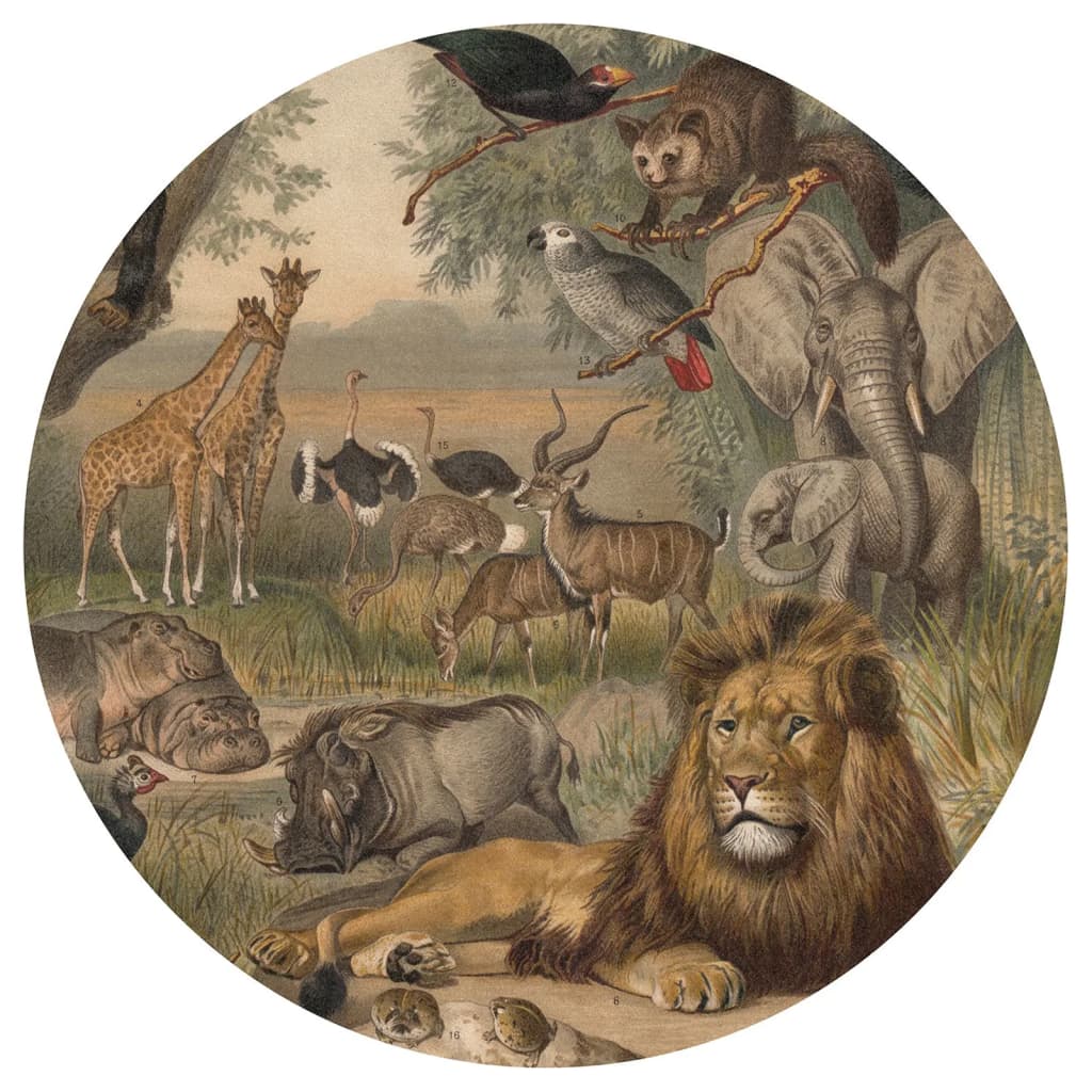 WallArt Tapet în formă de cerc „Animals of Africa”, 142,5 cm