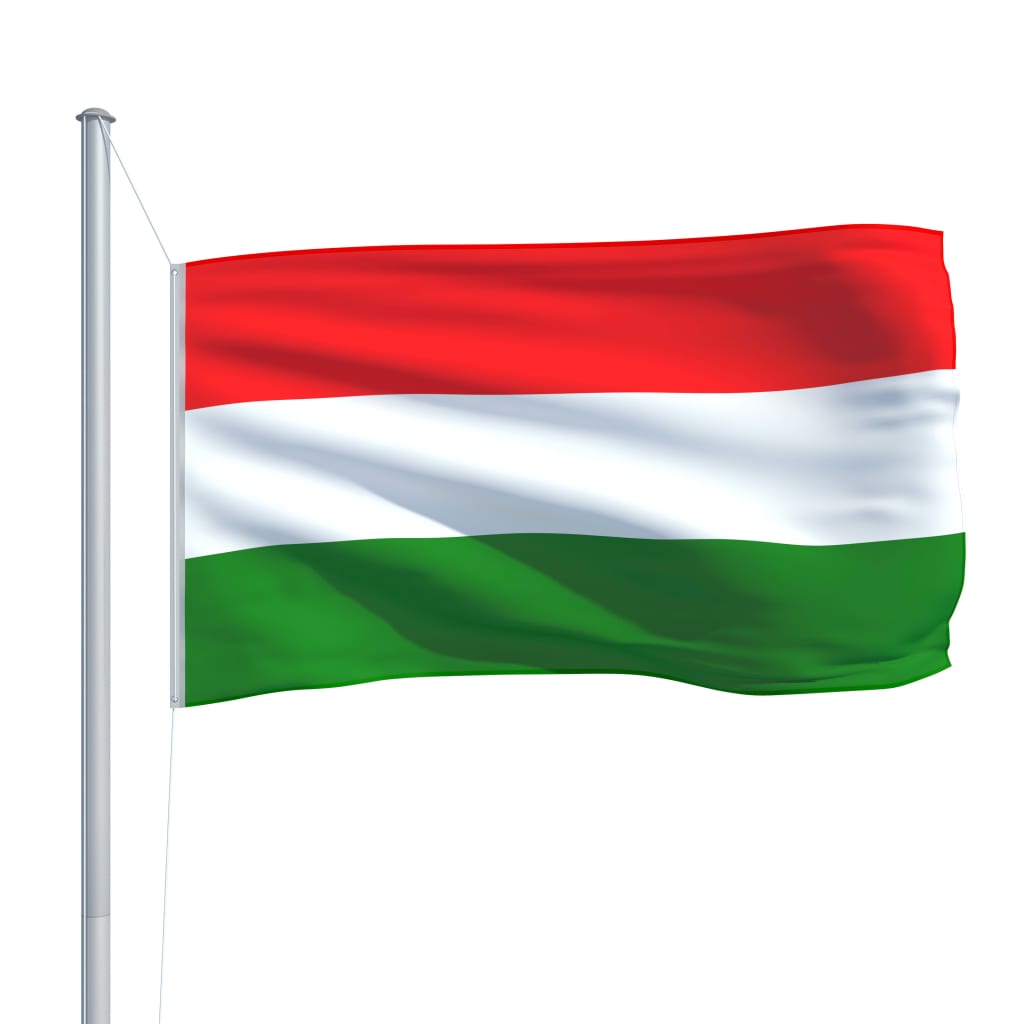 vidaXL Steag Ungaria și stâlp din aluminiu, 6,2 m